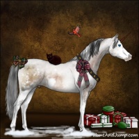 Horse Color:White Spotted Brown Dun Sabino Splash 