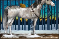 Horse Color:White Spotted Brown Ice Dun Sabino 