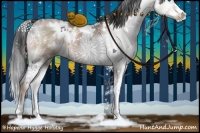 Horse Color:White Spotted Brown Dun Sabino Splash Brindle
