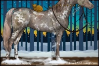 Horse Color:White Spotted Liver Red Dun Ice