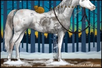 Horse Color:White Spotted Liver Red Dun Ice Splash 