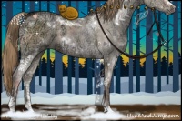 Horse Color:White Spotted Liver Red Dun Ice Sabino Brindle 