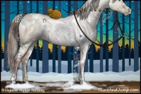 Horse Color:White Spotted Grullo Ice Pearl 