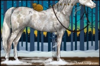 Horse Color:White Spotted Liver Red Dun Ice Pearl Appaloosa 