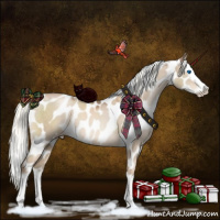 Horse Color:Liver Red Dun Pearl Mushroom Sabino Splash Appaloosa 