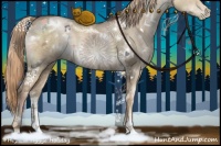 Horse Color:White Spotted Liver Red Dun Ice Pearl Sabino 