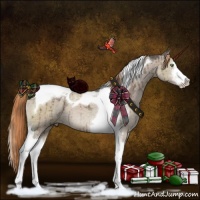 Horse Color:Liver Red Dun Ice Sabino Tobiano Brindle