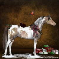 Horse Color:White Spotted Liver Red Dun Tobiano Brindle