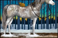 Horse Color:White Spotted Liver Red Dun Ice Sabino Splash Rabicano