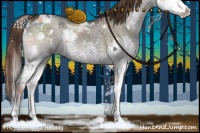 Horse Color:White Spotted Liver Red Dun Splash Rabicano 