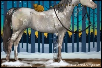 Horse Color:White Spotted Liver Red Dun Ice Rabicano