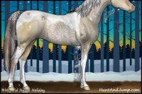Horse Color:Gray Buckskin Pearl Dun Sabino Tobiano