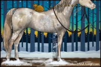 Horse Color:White Spotted Liver Red Dun Ice Pearl Sabino