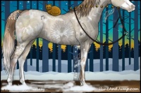 Horse Color:White Spotted Liver Red Dun Ice Pearl Splash