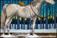 Horse Color:White Spotted Liver Red Dun Ice Pearl 