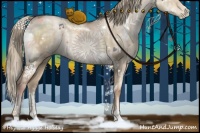 Horse Color:White Spotted Liver Red Dun Ice Pearl Sabino Rabicano Brindle 