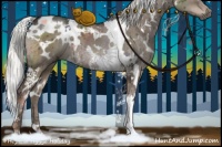 Horse Color:White Spotted Liver Red Dun 