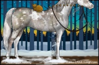 Horse Color:White Spotted Liver Red Dun Splash 
