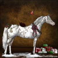 Horse Color:White Spotted Liver Red Dun Ice Mushroom Appaloosa Brindle 