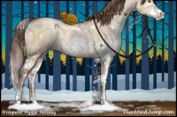 Horse Color:Brown Pearl Dun Sabino Rabicano 