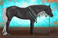 Horse Color:Silver Smoky Black Chinchilla 