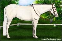 Horse Color:White Spotted Chocolate Silver Smoky Black Chinchilla Pearl 