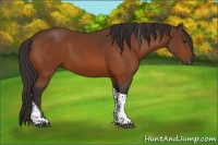 Horse Color:Buckskin Tobiano