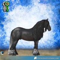 Horse Color:Brown Tobiano Rabicano 