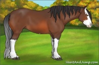 Horse Color:Brown Splash