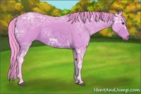 Horse Color:Watercolor Bay Ice 