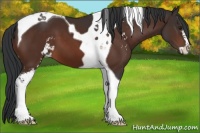 Horse Color:Brown Sabino Tobiano