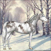Horse Color:White Spotted Liver Chestnut Mushroom Splash 