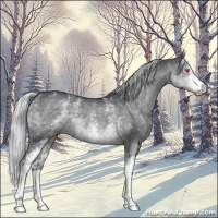 Horse Color:White Spotted Silver Black Chinchilla