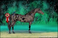 Horse Color:Void Platinum Buckskin Tobiano Appaloosa