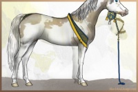 Horse Color:White Spotted Liver Red Dun Splash Frame Brindle