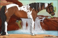 Horse Color:Buckskin Tobiano 