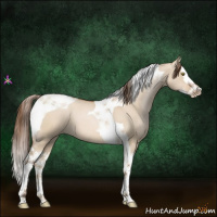 Horse Color:Brown Pearl Dun Splash Tobiano 