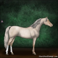 Horse Color:Silver Grullo Roan Pearl Rabicano 