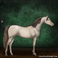 Horse Color:Grullo Pearl 