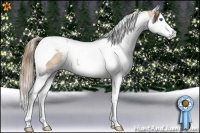 Horse Color:Black Pearl Splash Tobiano 