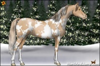 Horse Color:White Spotted Chestnut Pearl 