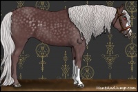 Horse Color:Chocolate Silver Black Chinchilla 