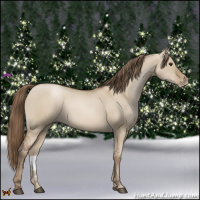 Horse Color:Grullo Pearl 