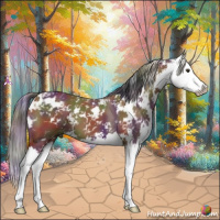 Horse Color:Nacre Bay Sabino Splash