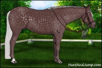 Horse Color:Chocolate Silver Black Chinchilla Sabino 