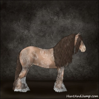 Horse Color:Gray Liver Chestnut Ice Pearl 