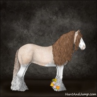 Horse Color:Bay Ice Roan Pearl Splash