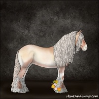 Horse Color:Silver Bay Roan Pearl Onyx 