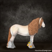 Horse Color:Buckskin Pearl Onyx 