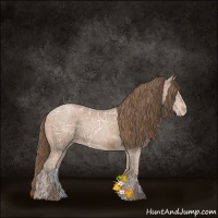 Horse Color:Black Ice Pearl 